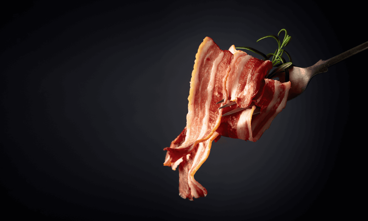 A fold of Creekside Farm streaky bacon lifted on a fork with rosemary